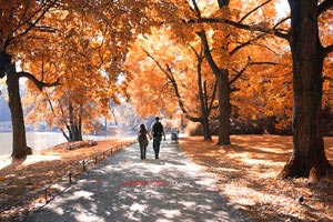 瑞典击剑选手连战连胜，晋级决赛