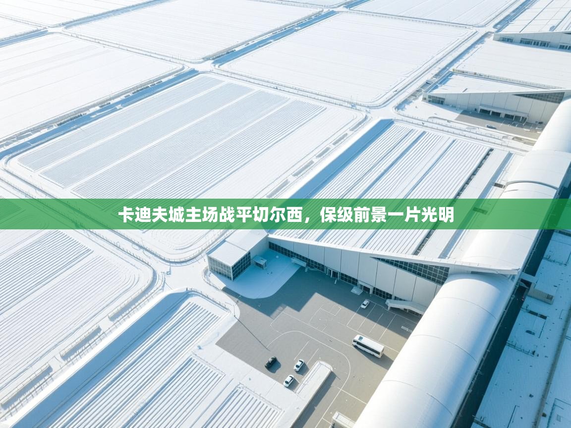 卡迪夫城主场战平切尔西，保级前景一片光明